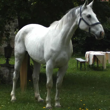 شقة Hofgut Schackau Hofbieber