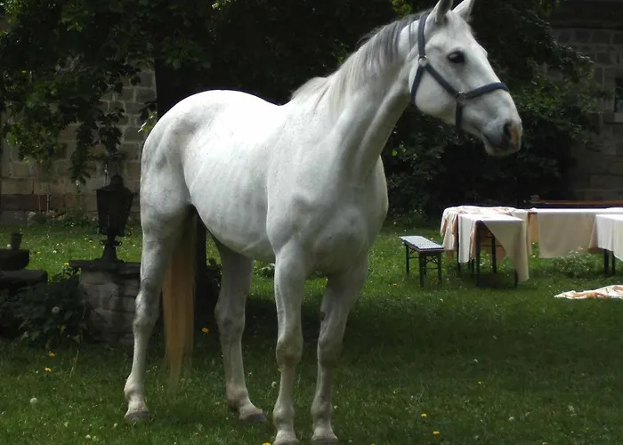 Apartmán Hofgut Schackau Hofbieber