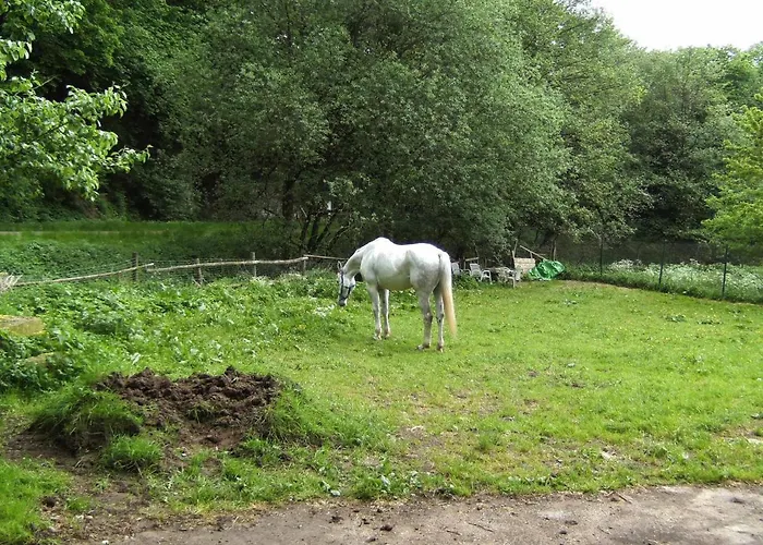 Hofgut Schackau Hofbieber